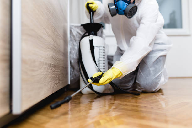 Best Best Pest Control Companies  in Vero Lake Estates, FL