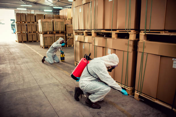 Professional Pest Control in Vero Lake Estates, FL