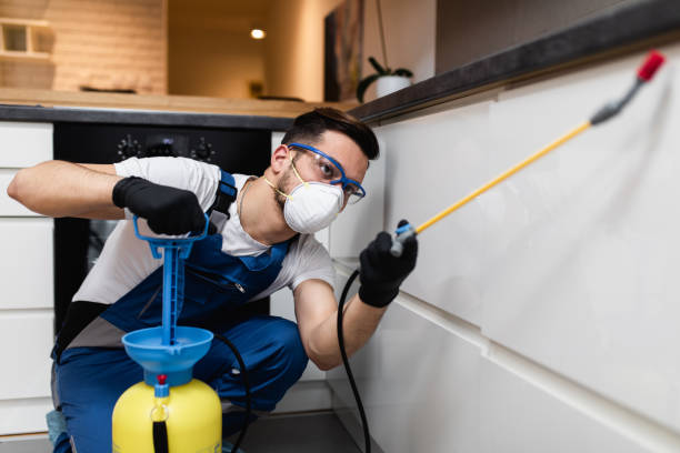 Best Cockroach Control Services  in Vero Lake Estates, FL