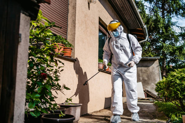 Best Mosquito Control Services  in Vero Lake Estates, FL