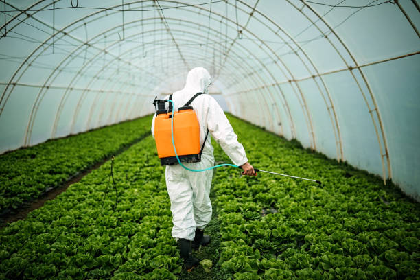 Best Exterminator Services  in Vero Lake Estates, FL