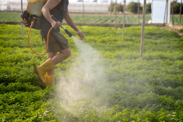 Flea Control Services in Vero Lake Estates, FL