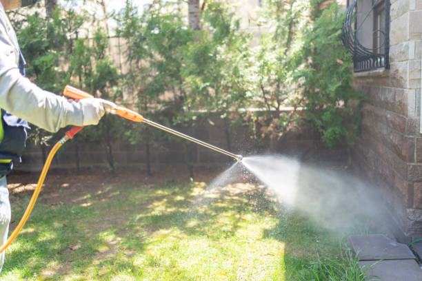Best Affordable Pest Control Services  in Vero Lake Estates, FL