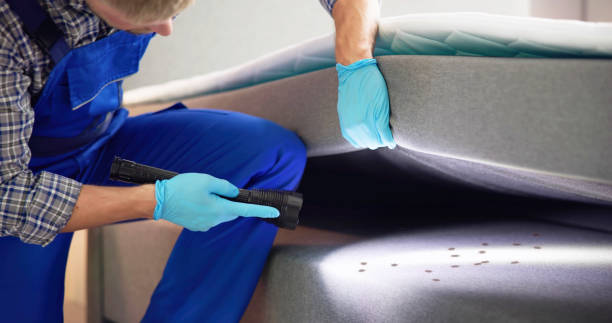 Best Pest Inspection Near Me  in Vero Lake Estates, FL