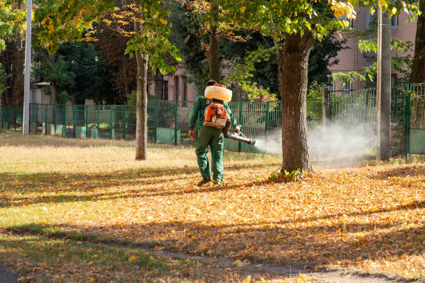 Best Rat Extermination Near Me  in Vero Lake Estates, FL